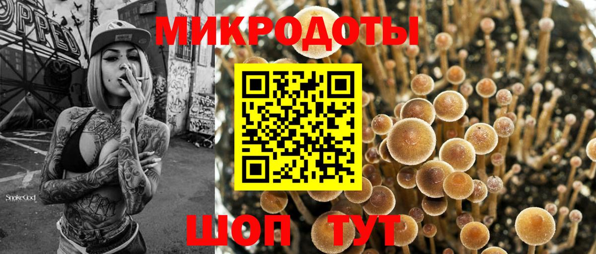 Псилоцибиновые грибы мухоморы Красногорск