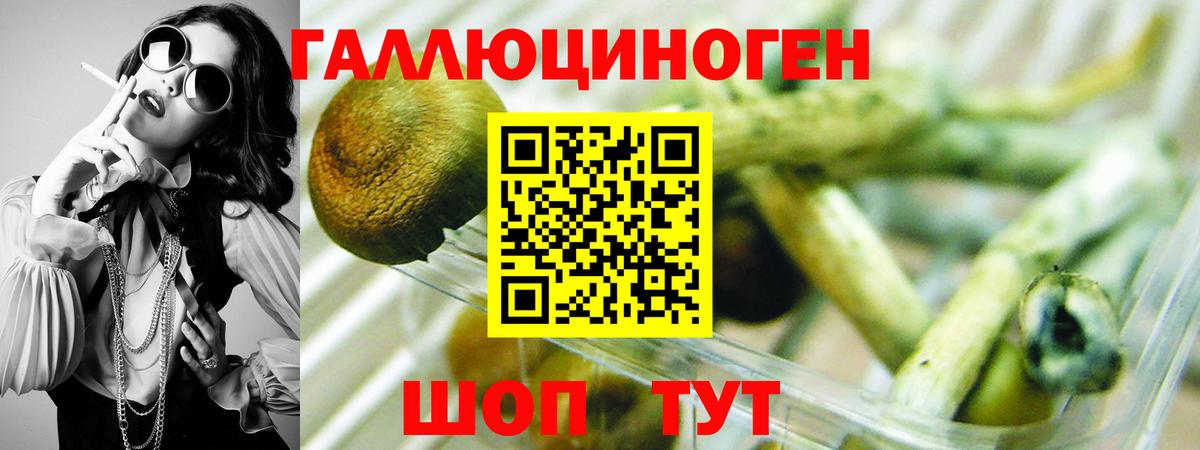 Псилоцибиновые грибы ЛСД  Вход с VPN  Псилоцибиновые грибы Psilocybine cubensis  Красногорск 